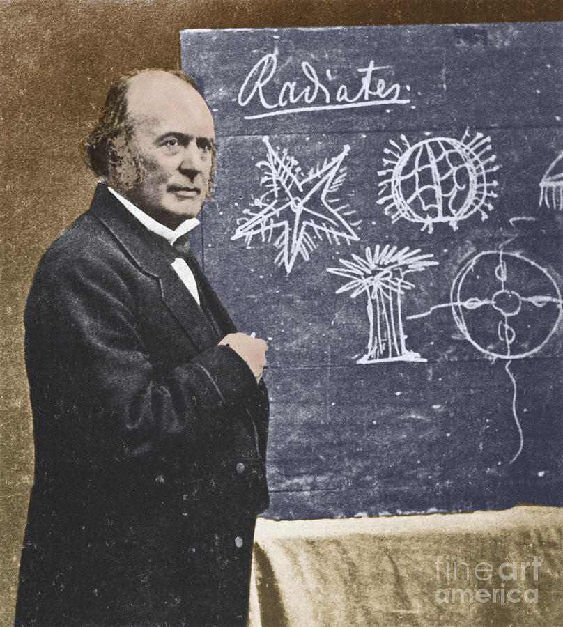 Louis Agassiz, Swiss-american Polymath #2 Photograph by Science Source