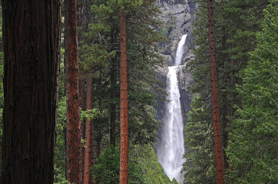 Yosemite National Park Photograph - Lower Yosemite Falls #2 by Lynn Bauer