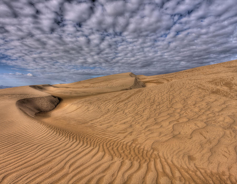 Magic of the Dunes Photograph by Beth Sargent