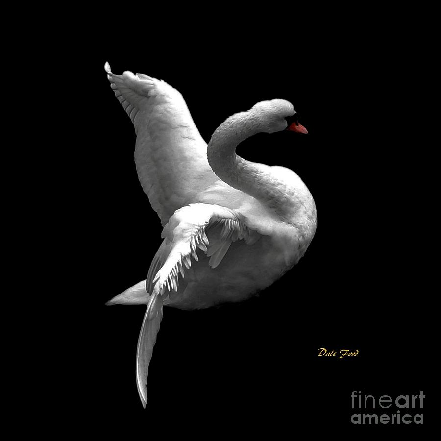 Majestic Swan 2 #2 Digital Art by Dale   Ford