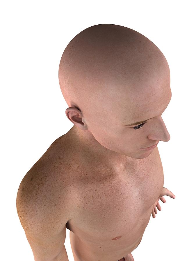 Male Upper Body, Artwork Digital Art by Sciepro Male Upper Body, Artwork Digital Art by Sciepro