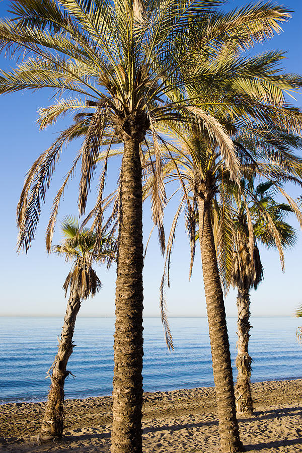 Marbella Beach in Spain #2 Photograph by Artur Bogacki