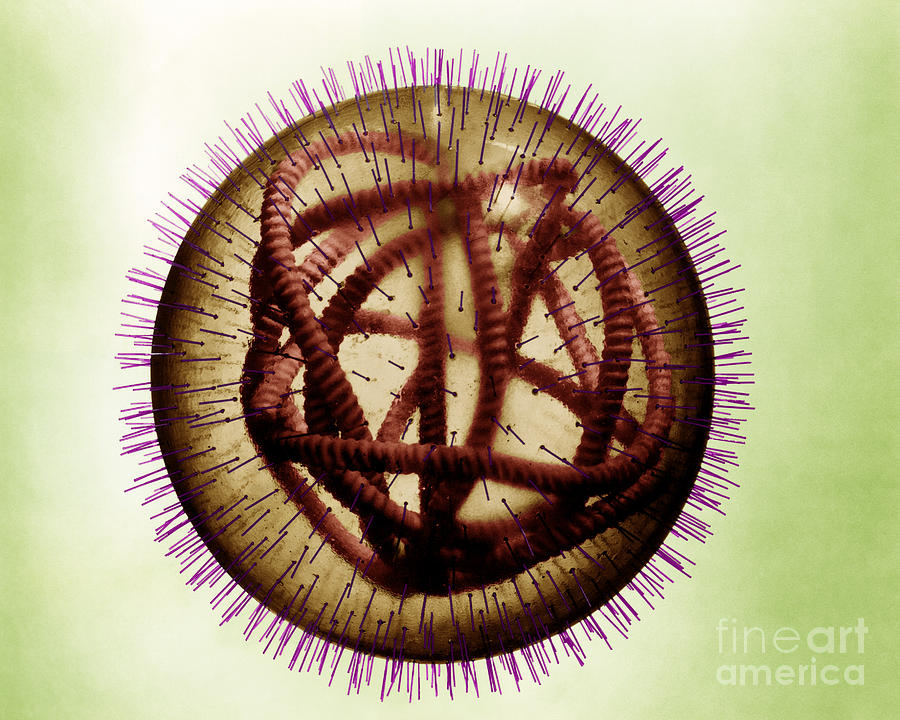 Measles Virus #2 Photograph by Omikron Measles Virus #2 Photograph by Omikron