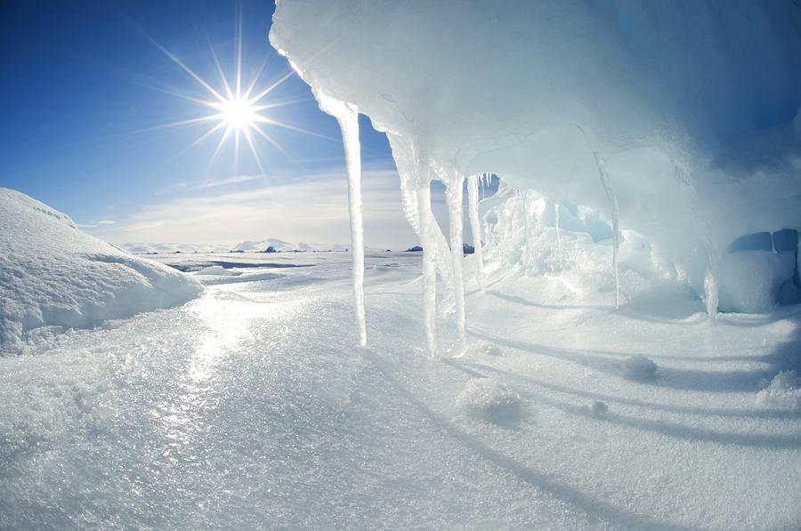 Melting Arctic Ice, Canada Photograph by Louise Murray