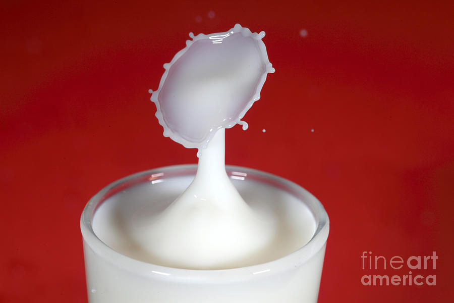 Milk Splash #2 Photograph by Ted Kinsman