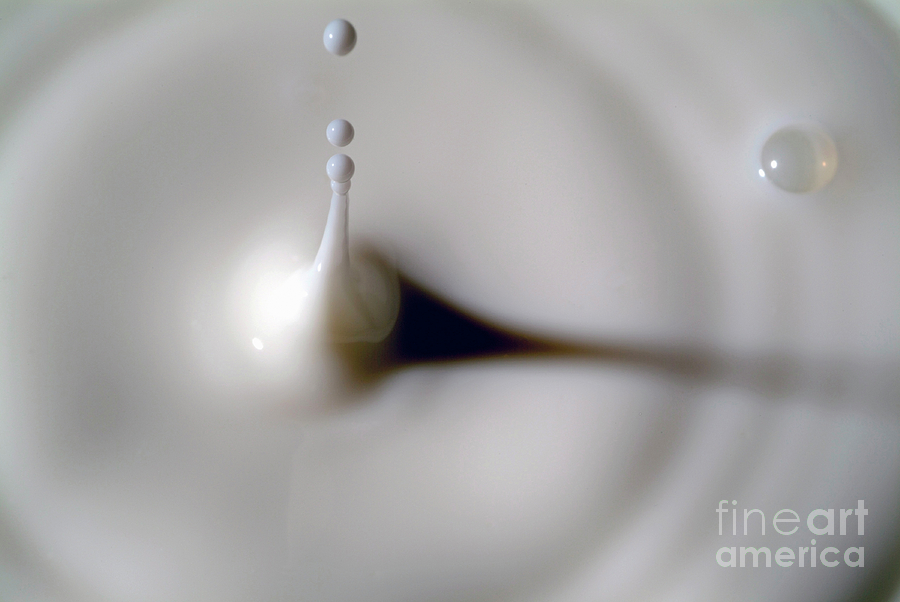 Milk splashing into the air #2 Photograph by Sami Sarkis Photography Milk splashing into the air #2 Photograph by Sami Sarkis Photography