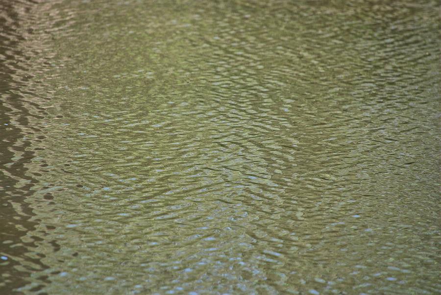 Millstone River 2 #2 Photograph by Steven Richman