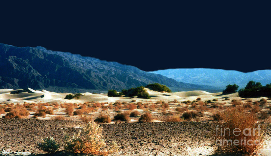 Moonlit Desert #2 Photograph by Patricia Januszkiewicz