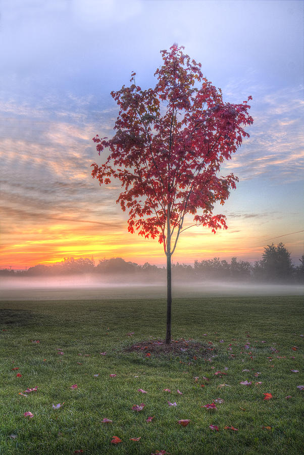 Fall Photograph - Morning landscape #2 by Nick Mares
