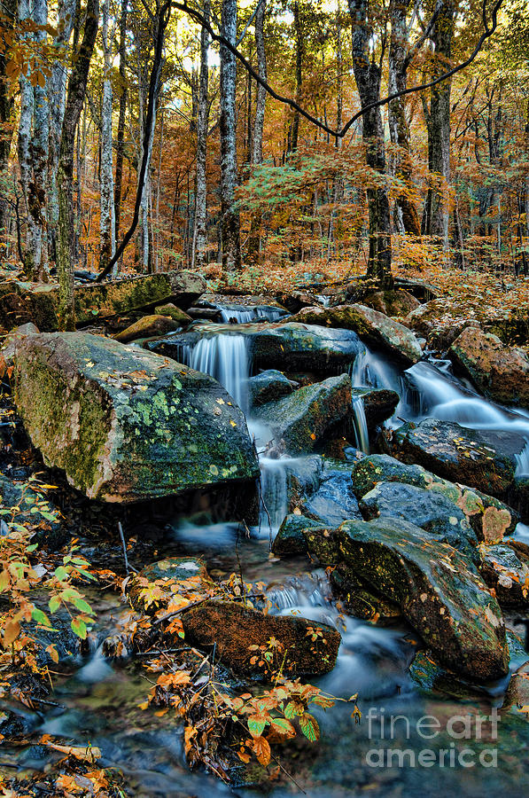 Fall Photograph - Mountain Stream  #2 by Jill Battaglia