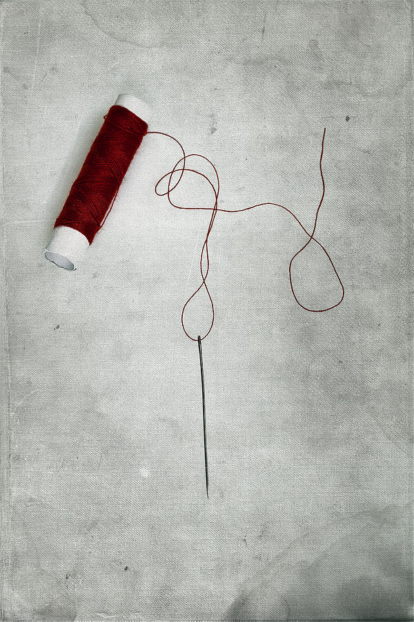 Still Life Photograph - Needle And Thread #2 by Joana Kruse