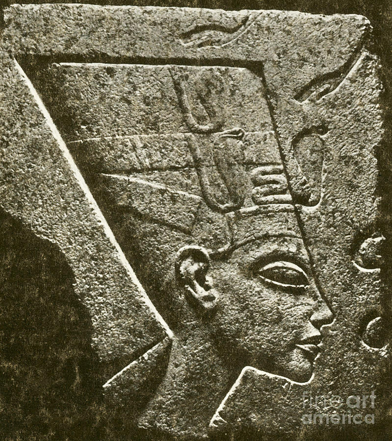 Queen Photograph - Nefertiti, Ancient Egyptian Queen #2 by Science Source