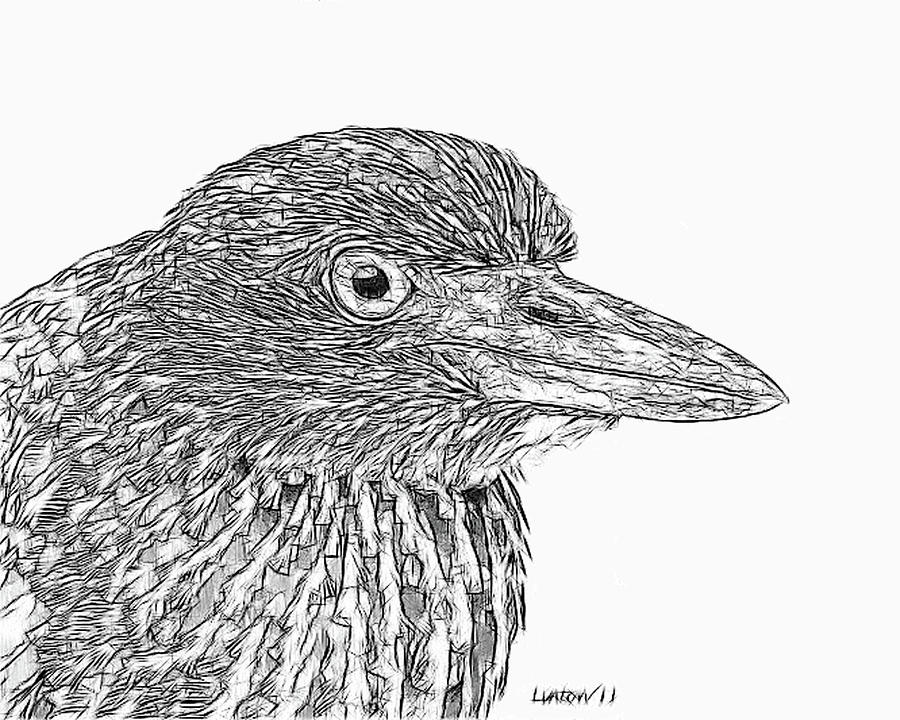 Night Heron #2 Digital Art by Larry Linton