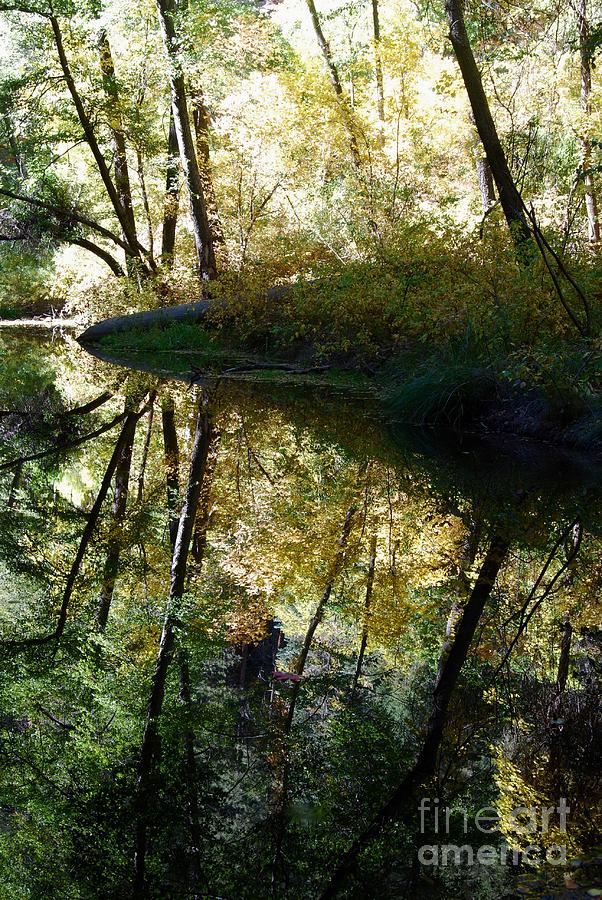 Oak Creek Reflection #4 Photograph by Tam Ryan
