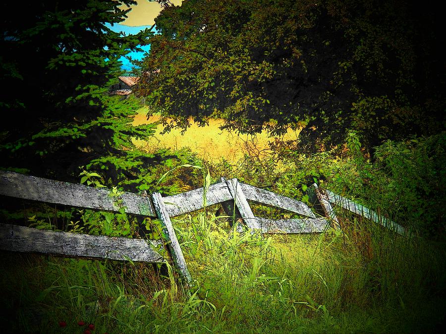 Old gray Fence #2 Photograph by Joyce Kimble Smith