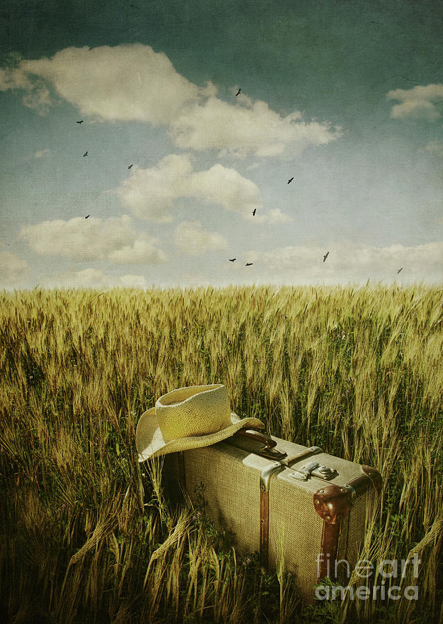 Old suitcase with straw hat in field #2 Photograph by Sandra Cunningham