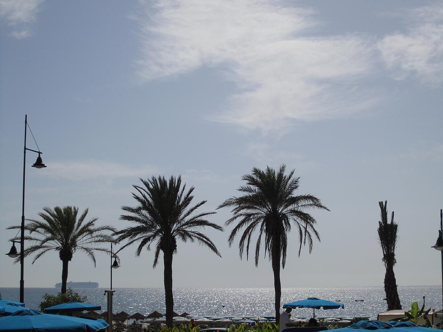 Palm Trees at Costa Del Sol Beach Spain #2 Photograph by John Shiron