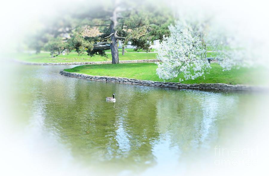 Goose Photograph - Peaceful #1 by Kathleen Struckle