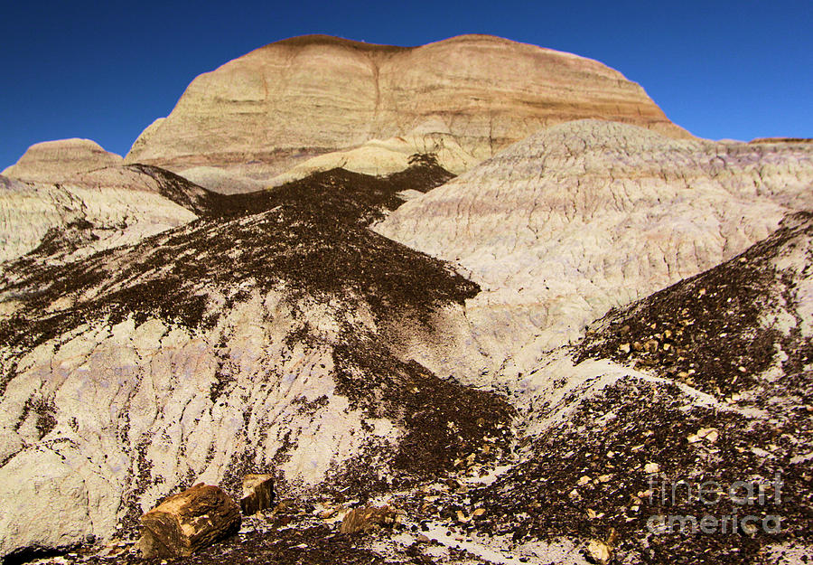 Petrified Forest National Park Photograph - Petrified Forest Blue Mesa #2 by Adam Jewell