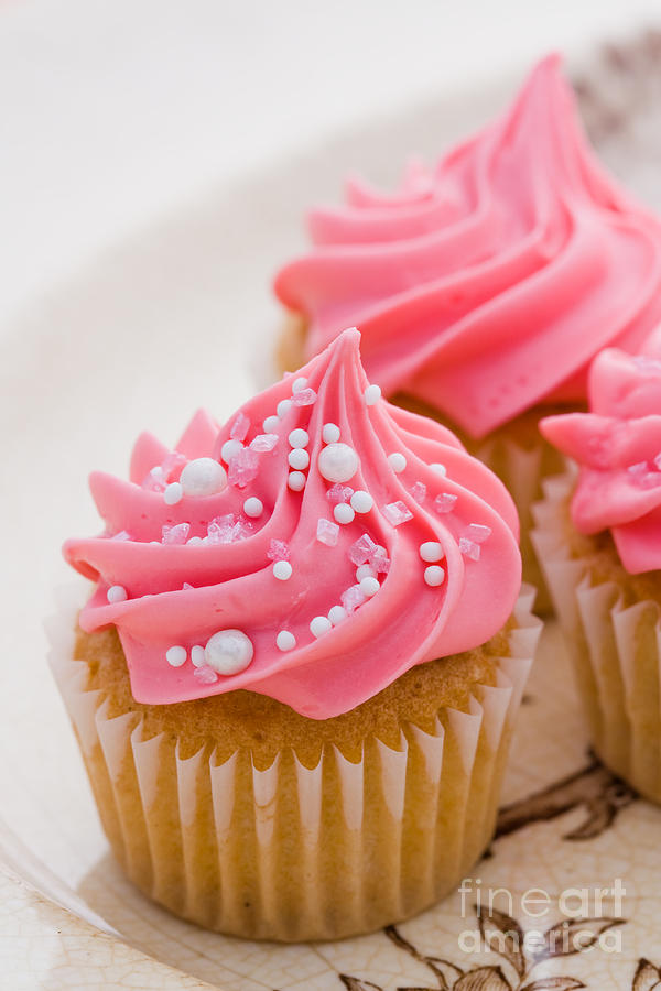 Pink cupcakes Photograph by Ruth Black - Fine Art America