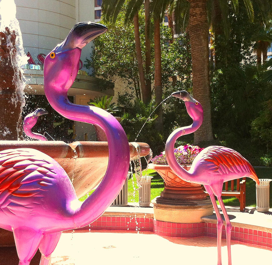 Pink Flamingos #2 Photograph by Donna Spadola