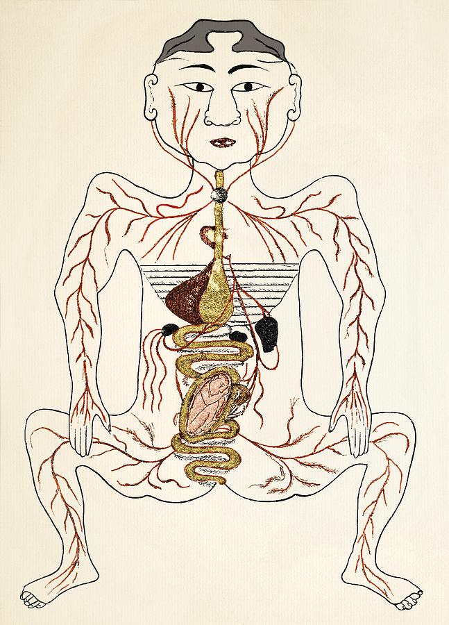 Pregnancy Anatomy, 15th Century Artwork Photograph by Sheila Terry