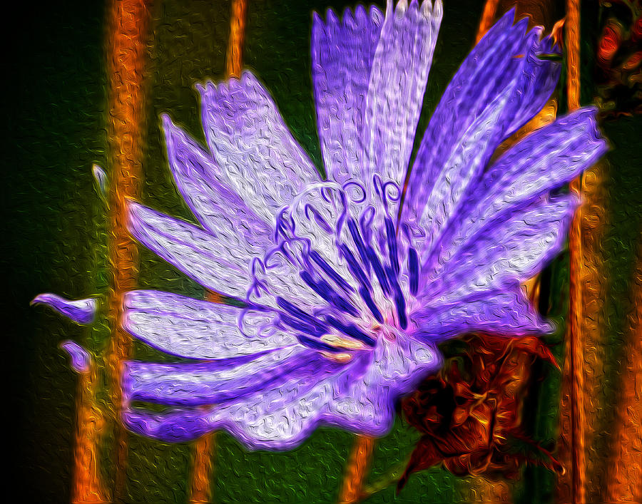 Purple Flower #2 Digital Art by Prince Andre Faubert
