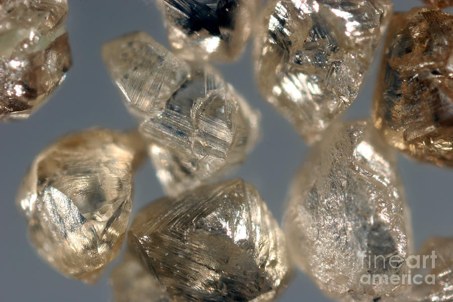 Raw Diamonds #2 Photograph by Ted Kinsman
