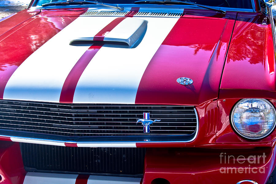 Car Photograph - Red 1966 Ford Mustang Shelby #2 by James BO Insogna