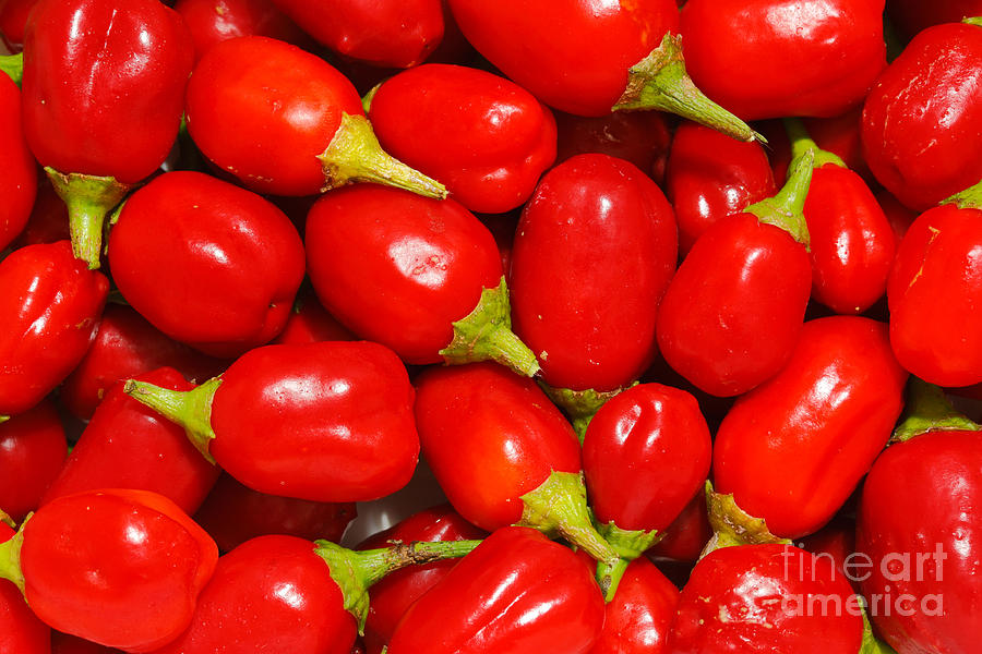 Red peppers #2 Photograph by Gaspar Avila
