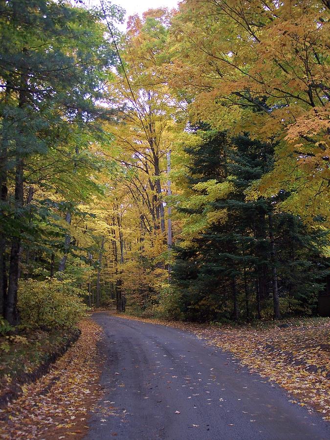 Road Trip Photograph by Diana Houston - Fine Art America