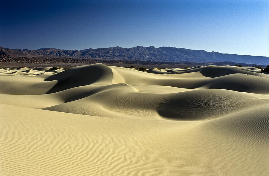 Sand Dune Death Valley #8 Photograph by Joe  Palermo
