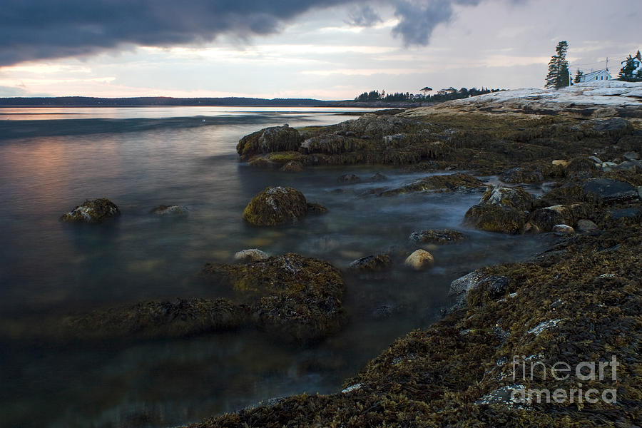 Sunset Photograph - Sea At Sunset #2 by Ted Kinsman