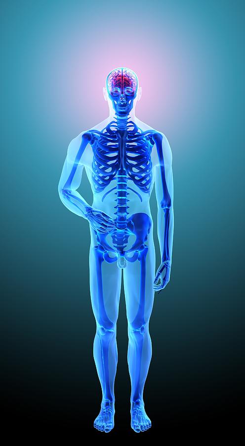 Skeleton, Artwork #2 Digital Art by Andrzej Wojcicki