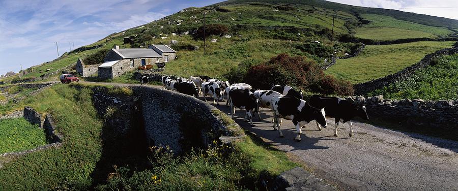 Architecture Photograph - Slea Head, Dingle Peninsula, Co Kerry #2 by The Irish Image Collection 
