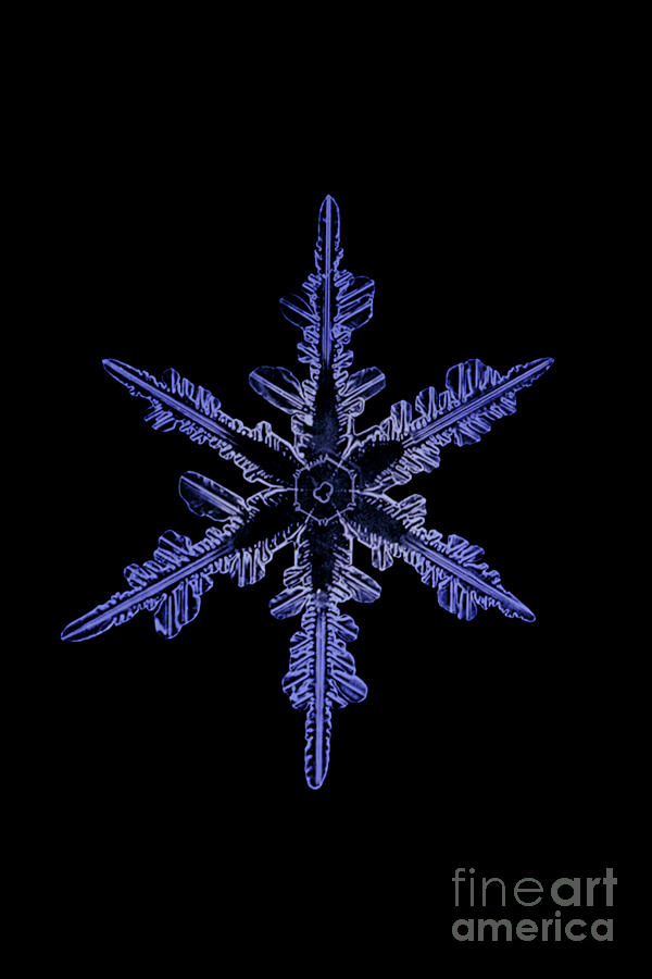 Winter Photograph - Snowflake Crystal #2 by Science Source