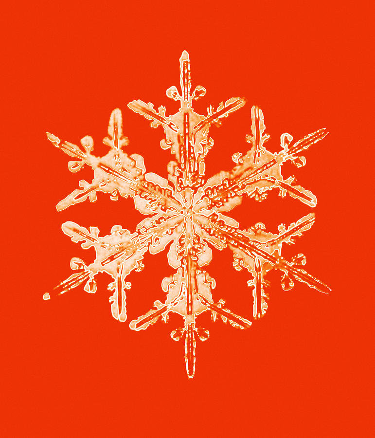 Christmas Photograph - Snowflake #2 by Mehau Kulyk
