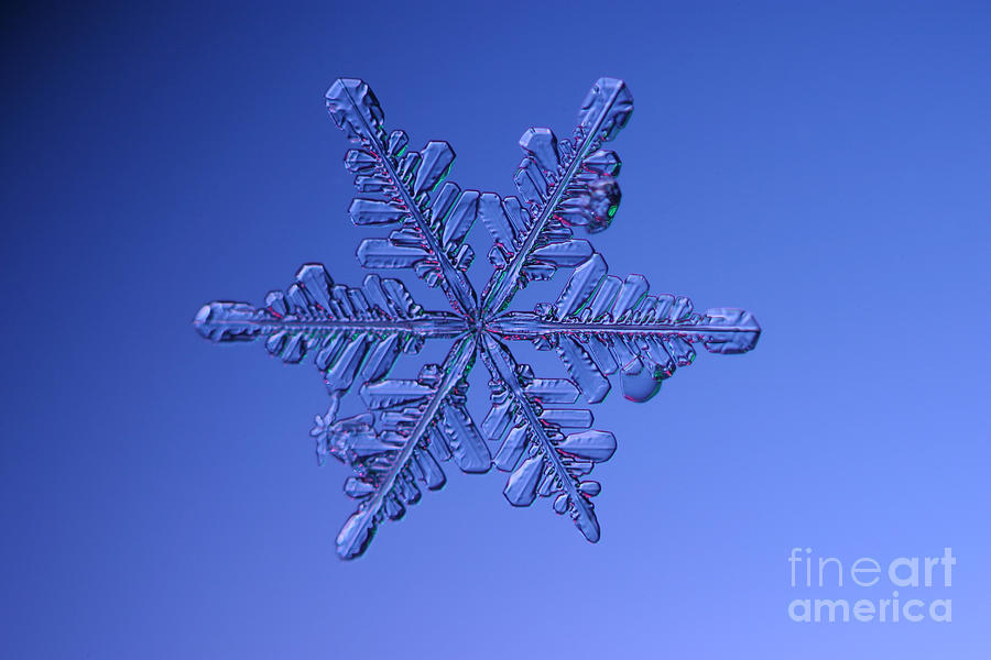Winter Photograph - Snowflake #2 by Ted Kinsman