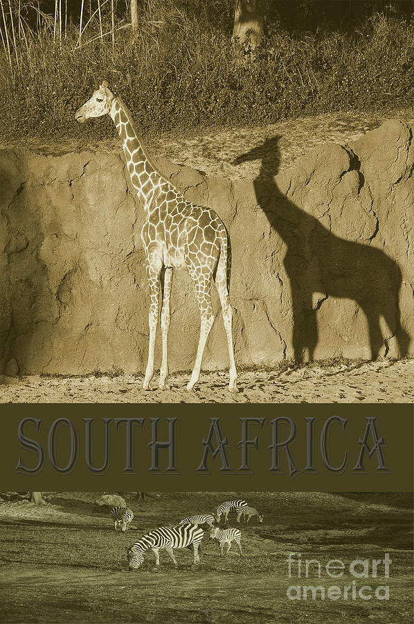 South Africa #2 Photograph by Robert Meanor