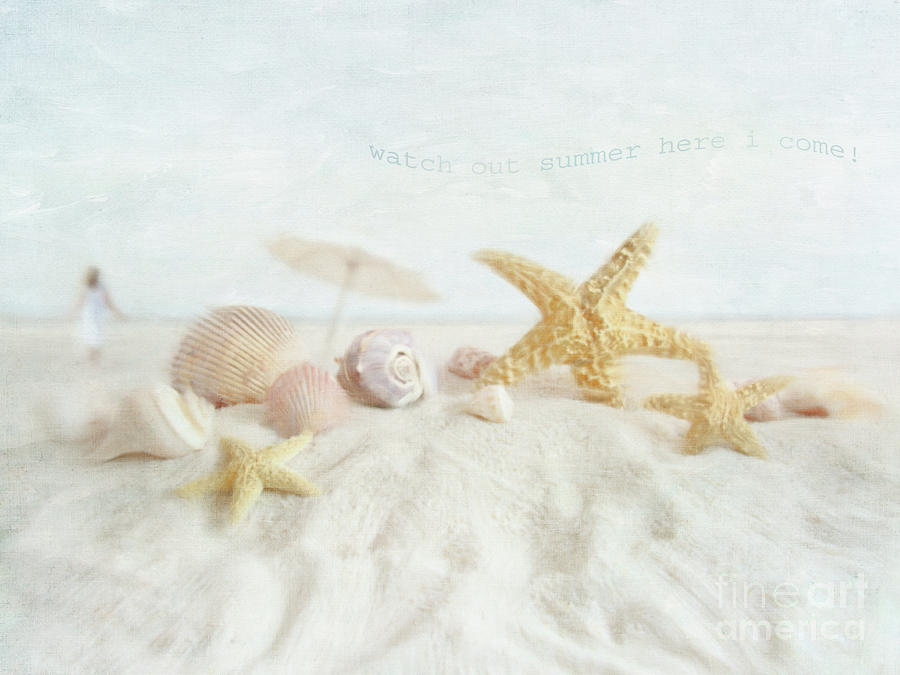 Starfish and seashells  at the beach #2 Photograph by Sandra Cunningham