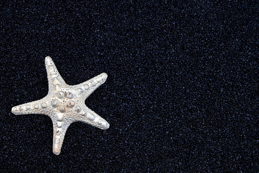 Summer Photograph - Starfish On Black Sand #2 by Joana Kruse