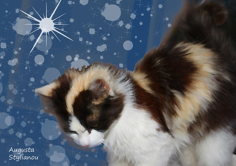 Starry Cat #3 Digital Art by Augusta Stylianou