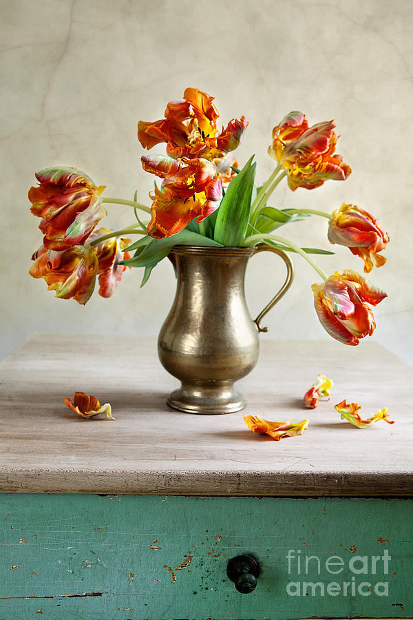 Tulip Photograph - Still Life with Tulips #2 by Nailia Schwarz