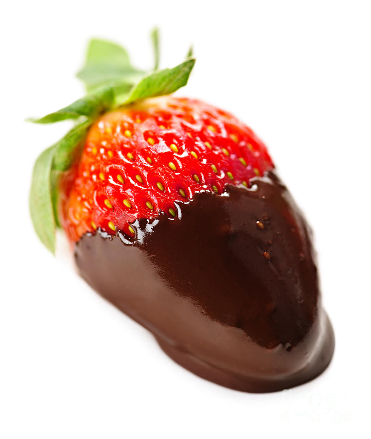 Strawberry dipped in chocolate 1 Photograph by Elena Elisseeva