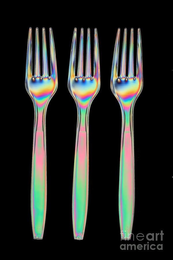 Stress In Plastic Forks #2 Photograph by Ted Kinsman