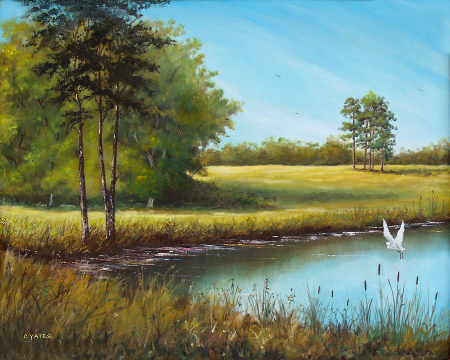 Sunny Meadow Painting by Charles Yates