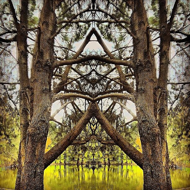 Abstract Photograph - #tagstagram .com #abstract #symmetry #2 by Dan Coyne