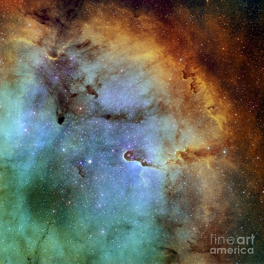 Interstellar Photograph - The Elephant Trunk Nebula #2 by Rolf Geissinger