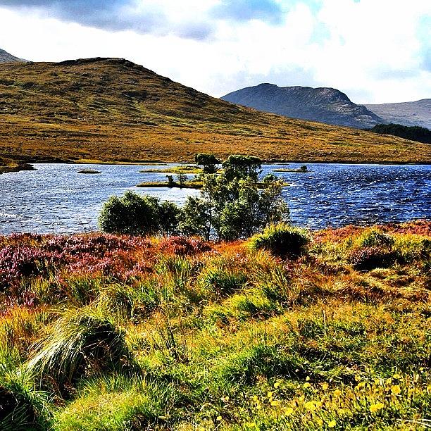 Nature Photograph - The Highlands #2 by Luisa Azzolini