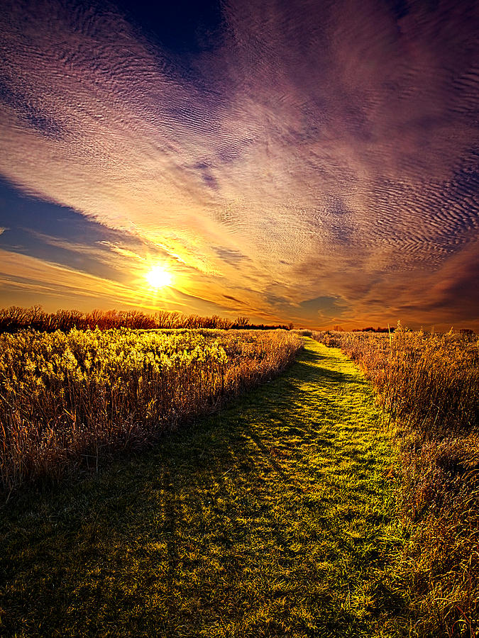 The Way #2 Photograph by Phil Koch